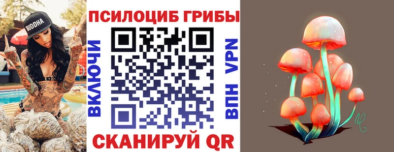 Галлюциногенные грибы MAGIC MUSHROOMS  Венёв 