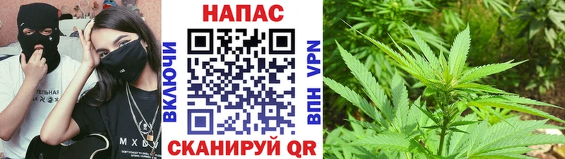 Конопля MAZAR где купить наркоту Венёв